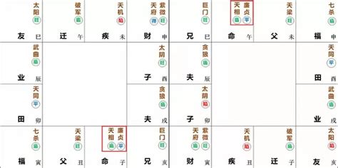 廉貞長相|紫微命盤解析——廉貞、天相星在子、午宮